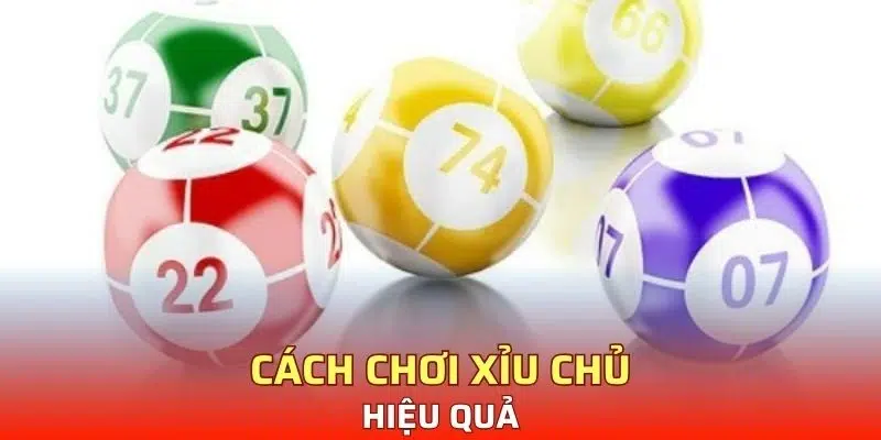 Cách chơi xỉu chủ là gì để hiệu quả