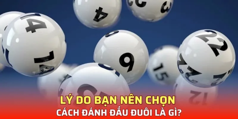 Lý do bạn nên chọn cách đánh đầu đuôi